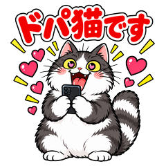 ねこもショート見る、ドパ猫